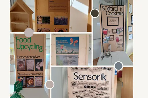 Ausstellung Maturaprojekte Ausstellung Maturaprojekte