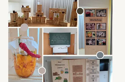 Ausstellung: Wenn Mikroorganismen arbeiten..... Ausstellung: Wenn Mikroorganismen arbeiten.....