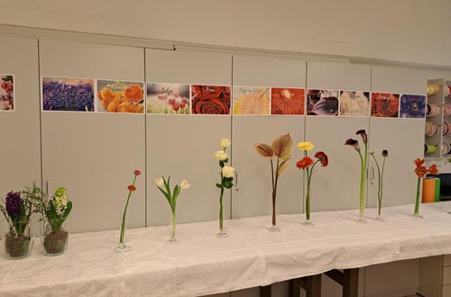 verschiedene Frischblumen und deren Wasseransprüche verschiedene Frischblumen und deren Wasseransprüche