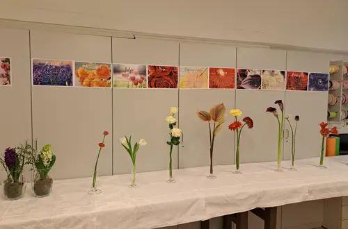 verschiedene Frischblumen und deren Wasseransprüche verschiedene Frischblumen und deren Wasseransprüche
