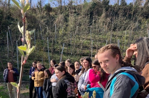 Schülerinnen besichtigen den Hof des Wandels in St Pauls und erhalten Informationen zur Permakultur. Schülerinnen besichtigen den Hof des Wandels in St Pauls und erhalten Informationen zur Permakultur.
