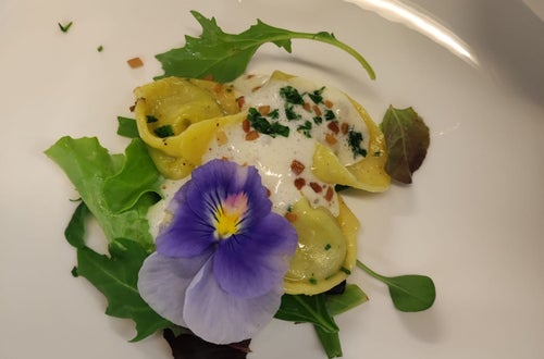 Ravioli gefüllt mit Bärlauch Ravioli gefüllt mit Bärlauch