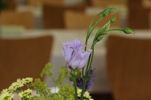 Vase mit Frischblumen Vase mit Frischblumen