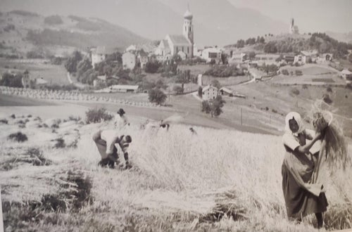Bild Landwirtschaft früher Bild Landwirtschaft früher