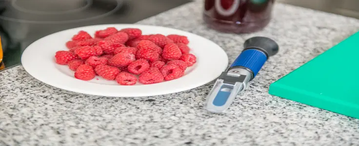 Himbeeren auf einem weißen Teller und im Hintergrund eine Flasche mit Himbeersirup Himbeeren auf einem weißen Teller und im Hintergrund eine Flasche mit Himbeersirup