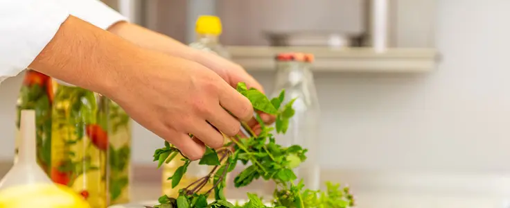 Verschiedene Kräuter werden auf ein Teller gelegt. Im Hintergrund Flaschen mit Kräuteröl Verschiedene Kräuter werden auf ein Teller gelegt. Im Hintergrund Flaschen mit Kräuteröl