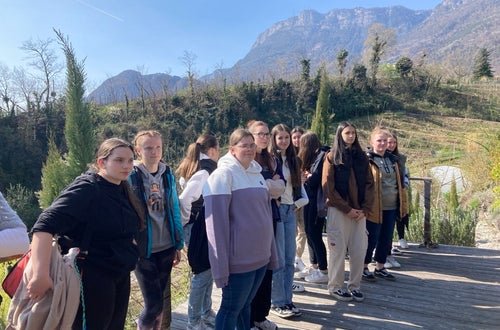 Schülerinnen besichtigen den Hof des Wandels in St. Pauls. Im Hintergrund sind Sträucher zu sehen. Schülerinnen besichtigen den Hof des Wandels in St. Pauls. Im Hintergrund sind Sträucher zu sehen.