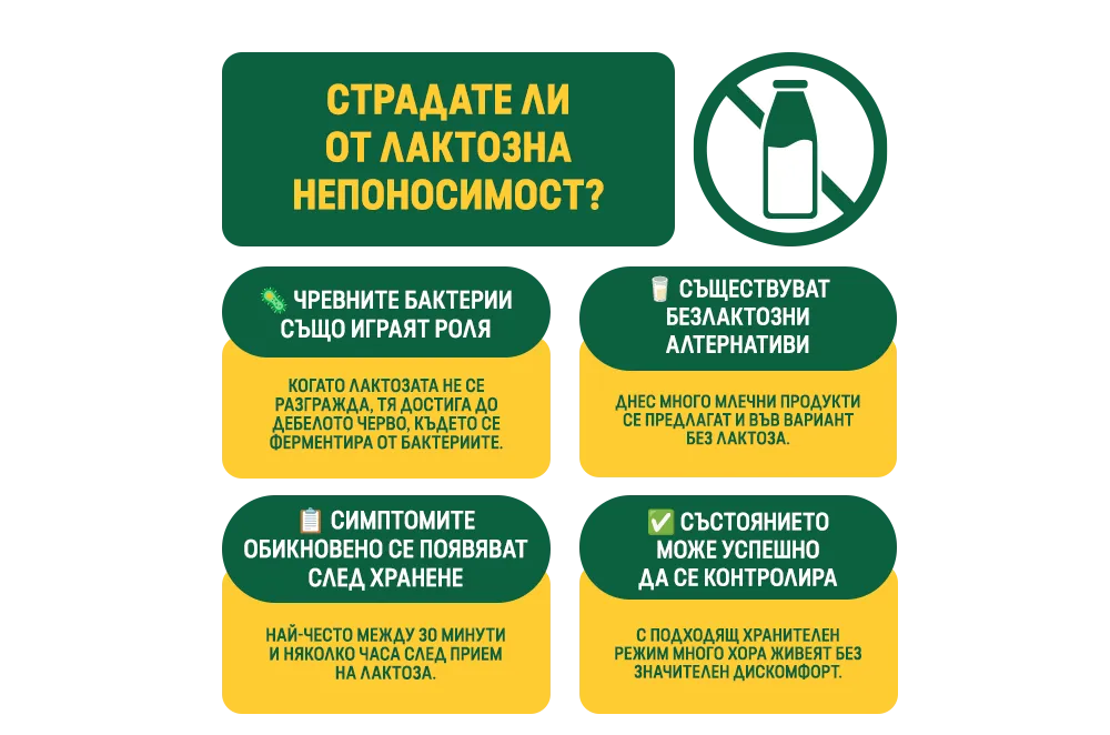 СТРАДАТЕ ЛИ ОТ ЛАКТОЗНА НЕПОНОСИМОСТ?
Чревните бактерии също играят роля
Когато лактозата не се разгражда, тя достига до дебелото черво, където се ферментира от бактериите.
Съществуват безлактозни алтернативи
Днес много млечни продукти се предлагат и във вариант без лактоза.
Симптомите обикновено се появяват след хранене
Най-често между 30 минути и няколко часа след прием на лактоза.
Състоянието може успешно да се контролира
С подходящ хранителен режим много хора живеят без значителен дискомфорт.