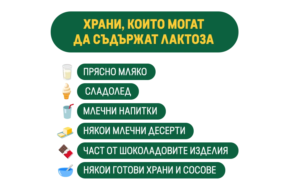 ХРАНИ, КОИТО МОГАТ ДА СЪДЪРЖАТ ЛАКТОЗА
ПРЯСНО МЛЯКО
СЛАДОЛЕД
МЛЕЧНИ НАПИТКИ
НЯКОИ МЛЕЧНИ ДЕСЕРТИ
ЧАСТ ОТ ШОКОЛАДОВИТЕ ИЗДЕЛИЯ
НЯКОИ ГОТОВИ ХРАНИ И СОСОВЕ
