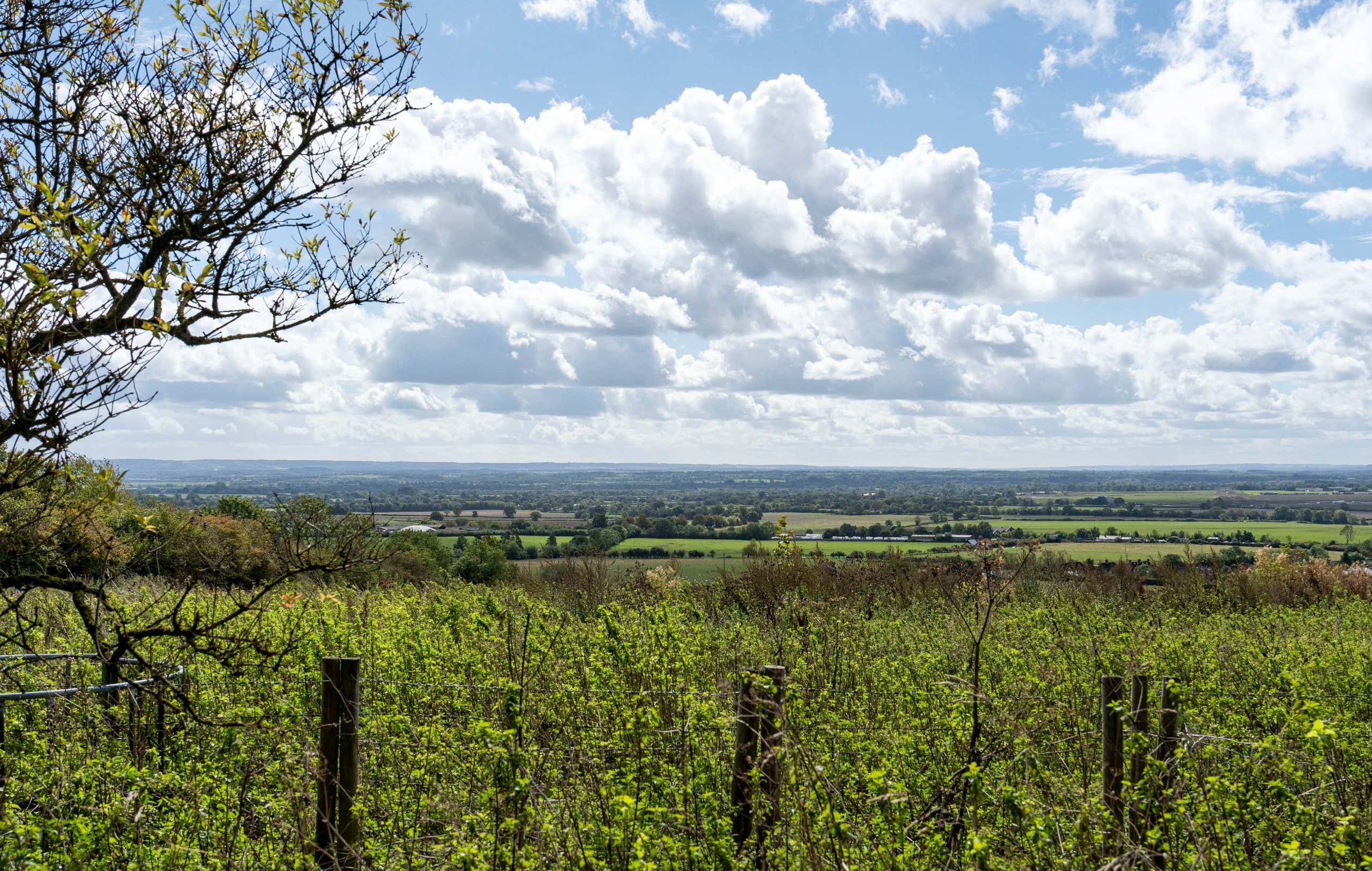 View across open Buckinghamshire countryside near Oakley, the village setting for Hedges Farm.