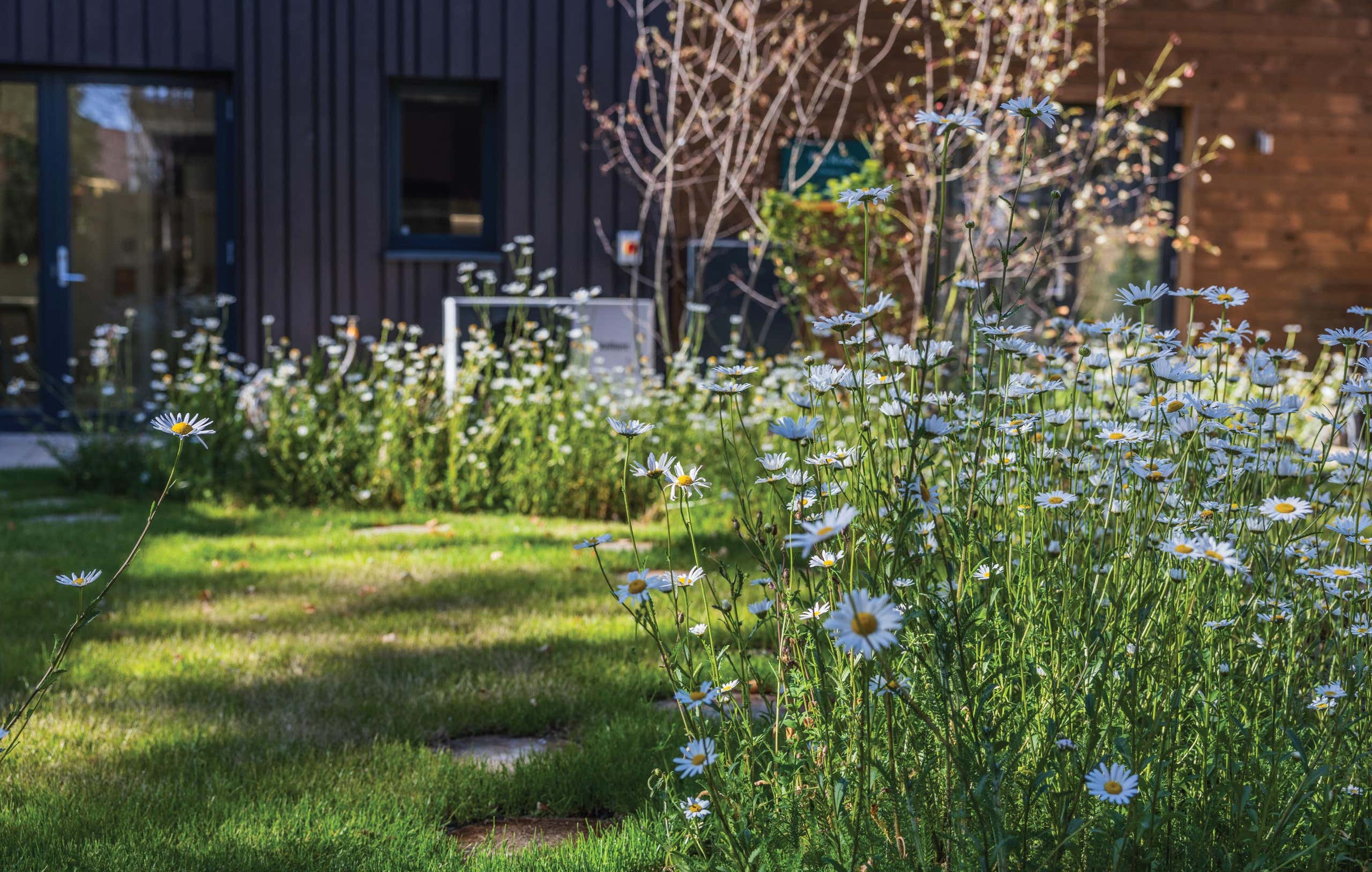 eco house for sale in oxfordshire at the canopies