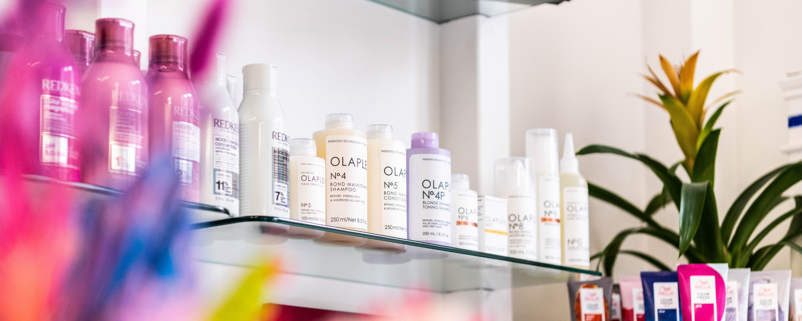 close-up of shampoo on a shelf