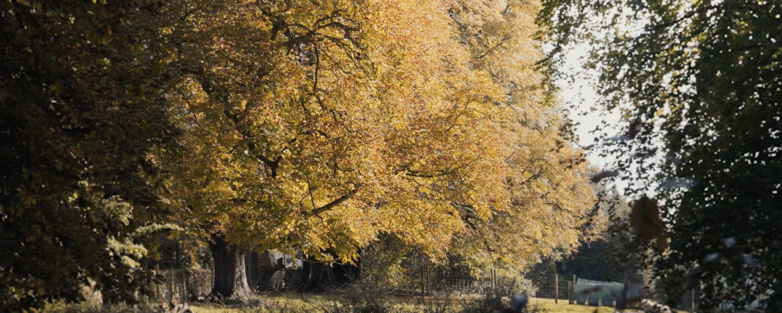 middle barton hero image north oxfordshire new homes in the cotswolds