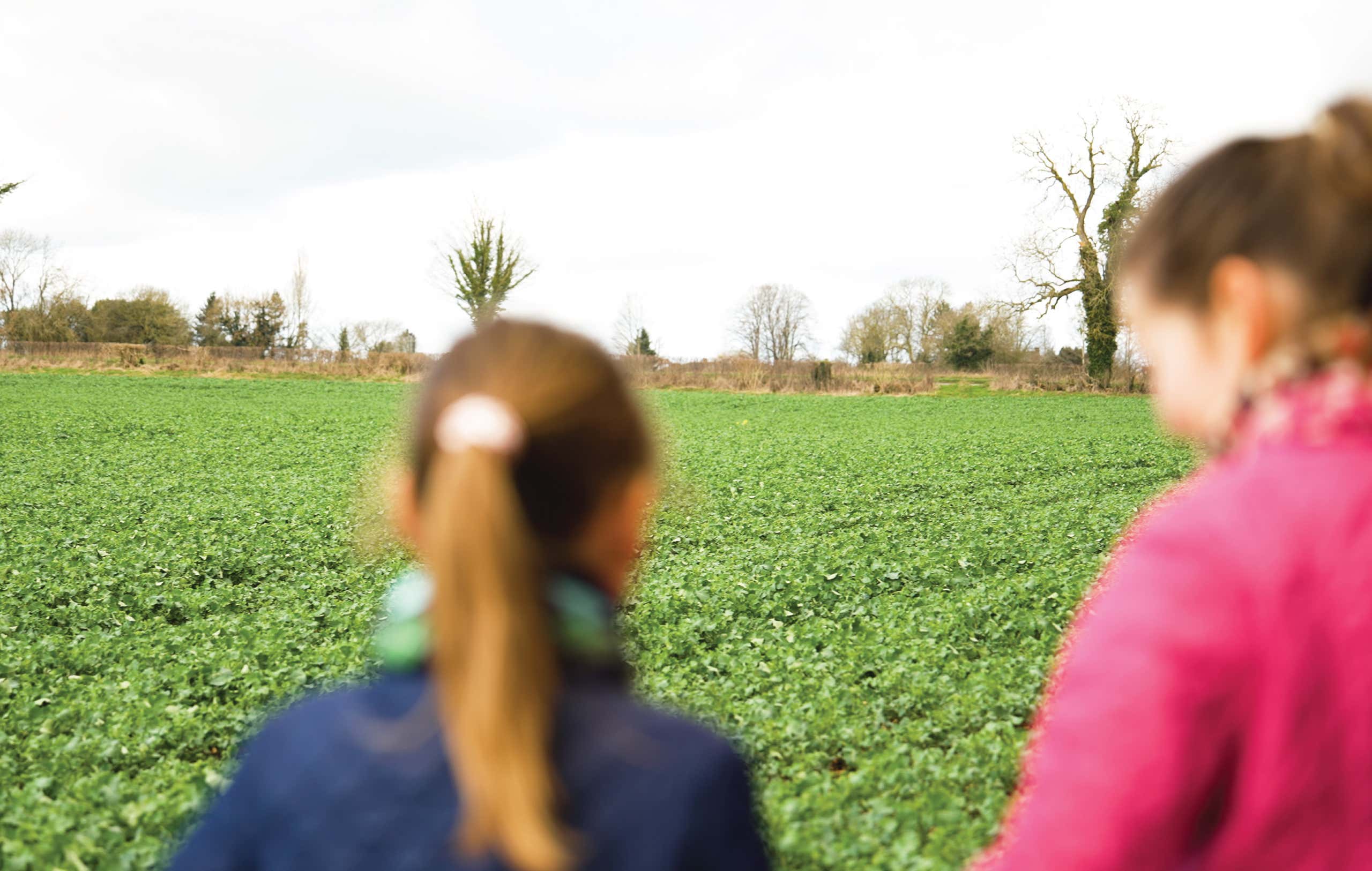 Childern walking in New Home fields near Adderbury, Oxfordshire