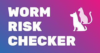 Try our Worm Risk Checker