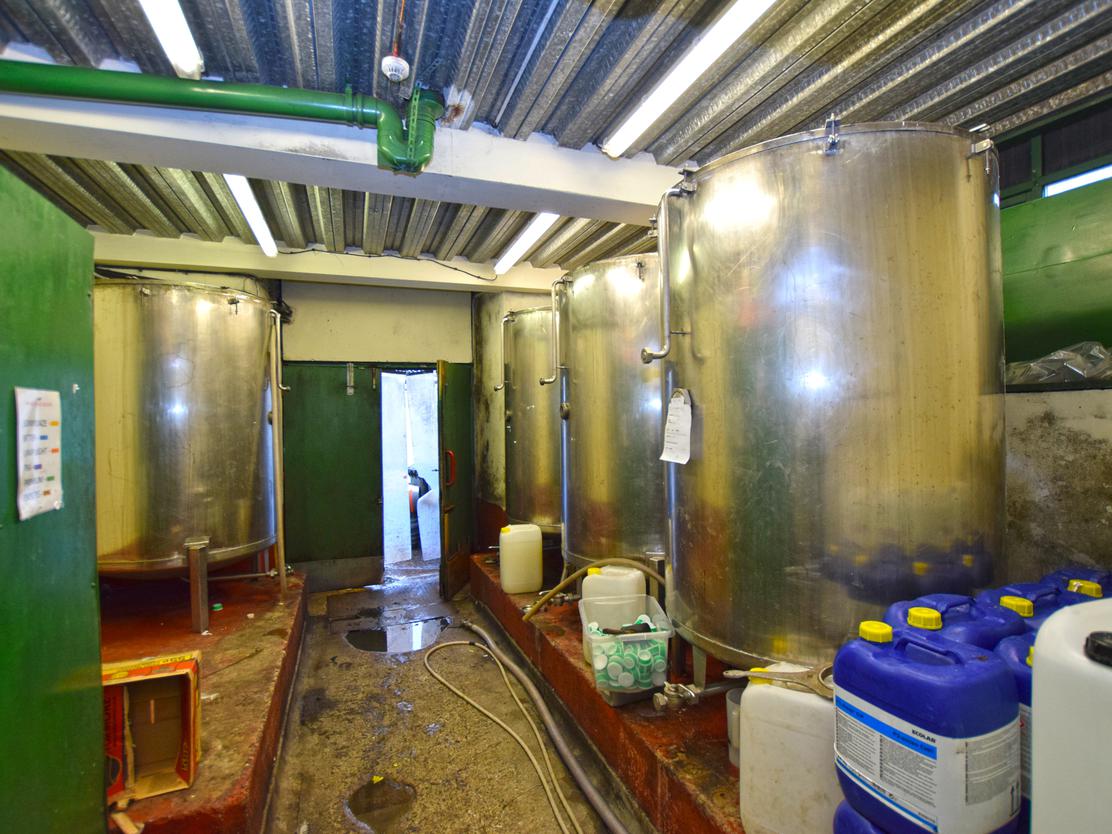 property image-5