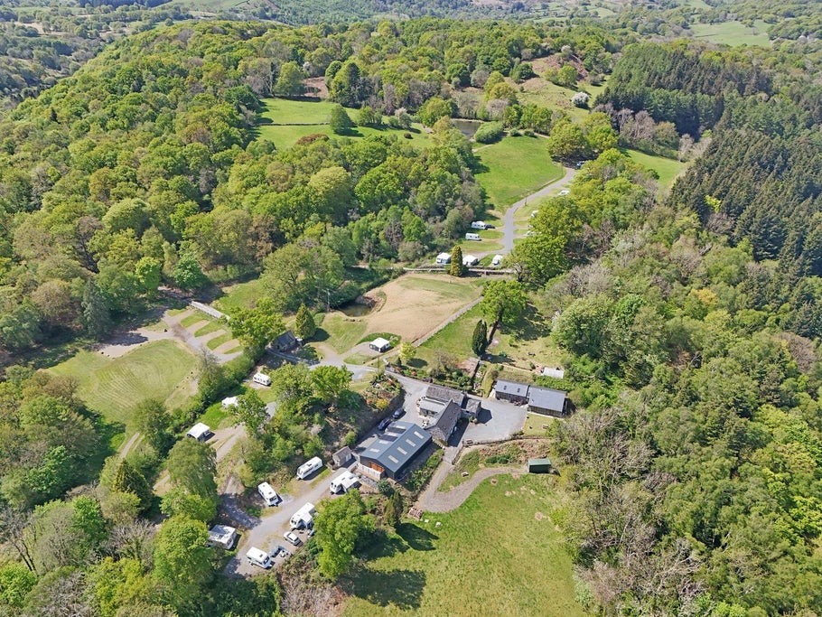 Image-1