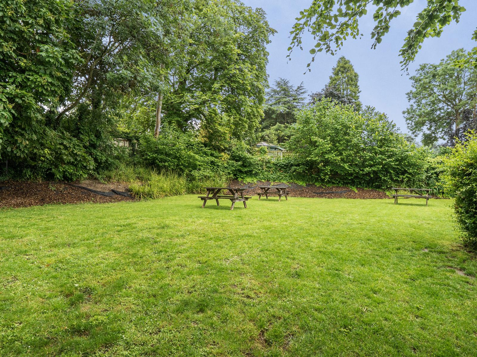property image-12