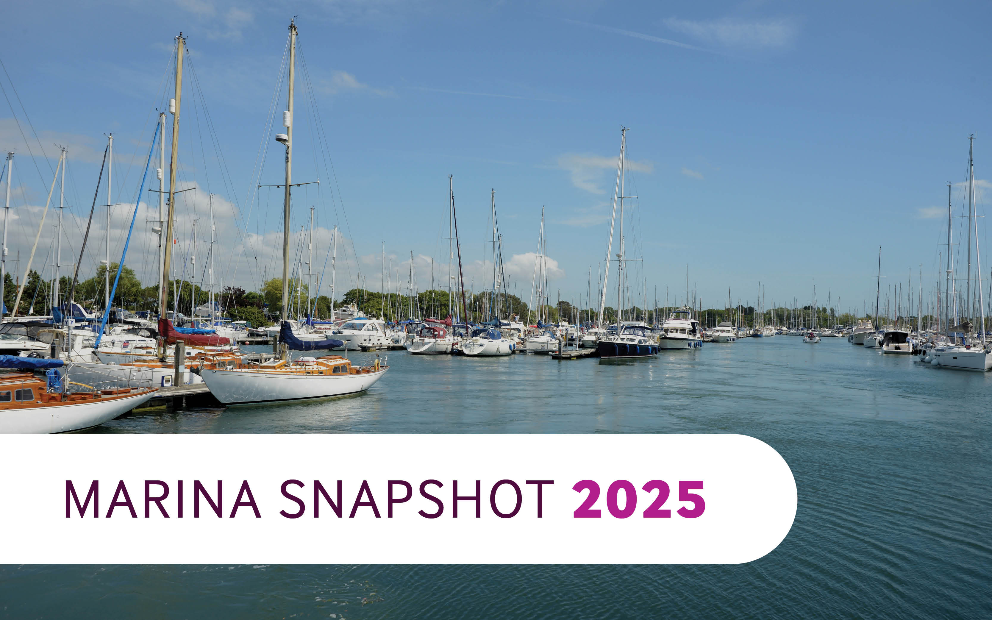 boats in a marina