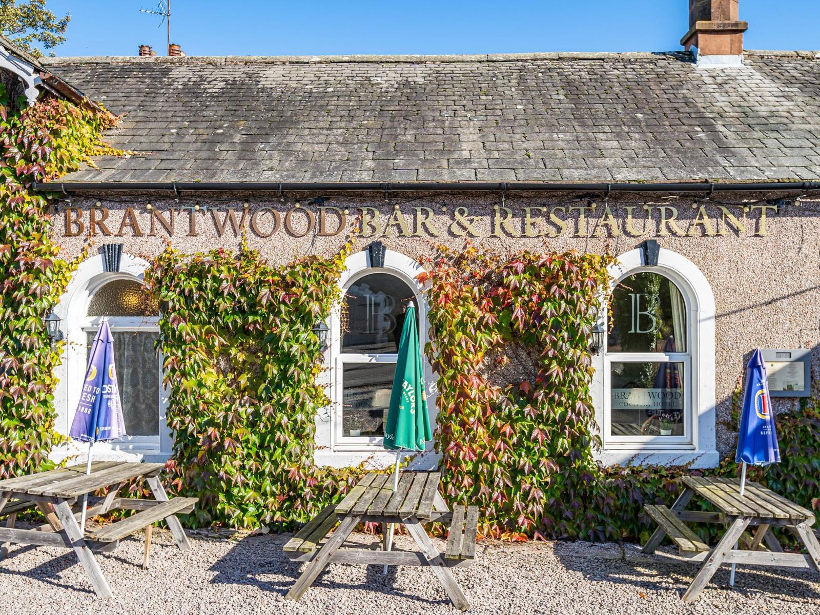 property image-20