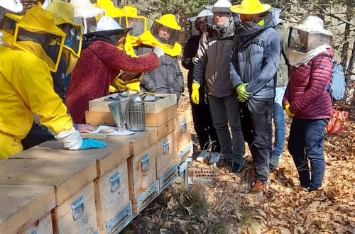 FC: corso apicoltori - lezione davanti alle arnie FC: corso apicoltori - lezione davanti alle arnie