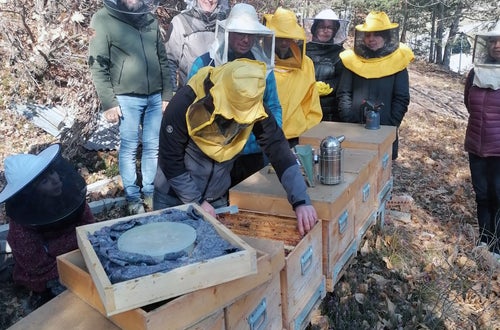 FC: corso apicoltori - esercitazioni pratiche sulle arnie FC: corso apicoltori - esercitazioni pratiche sulle arnie