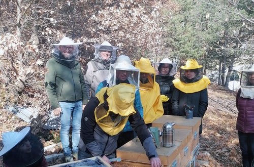 FC: corso apicoltori - esercitazioni pratiche sulle arnie FC: corso apicoltori - esercitazioni pratiche sulle arnie