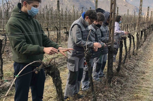 Legatura capo a frutto al filo, alunni classe I Legatura capo a frutto al filo, alunni classe I