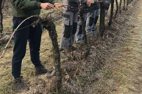 Legatura capo a frutto al filo, alunni classe I Legatura capo a frutto al filo, alunni classe I
