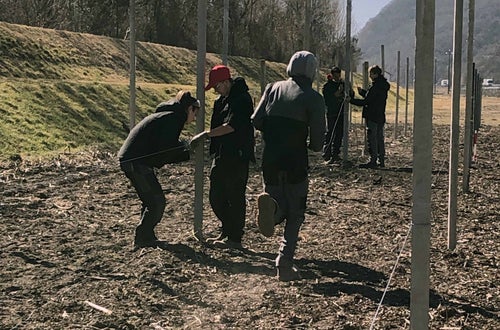 Impianto nuovo meleto, alunni classe III - sistemazione pali sostegno Impianto nuovo meleto, alunni classe III - sistemazione pali sostegno