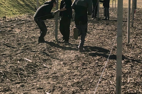 Impianto nuovo meleto, alunni classe III - sistemazione pali sostegno Impianto nuovo meleto, alunni classe III - sistemazione pali sostegno