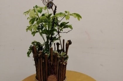 riciclo rami di potatura della vite: coprivaso per piante in vaso riciclo rami di potatura della vite: coprivaso per piante in vaso