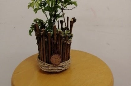 riciclo rami di potatura della vite: coprivaso per piante in vaso riciclo rami di potatura della vite: coprivaso per piante in vaso
