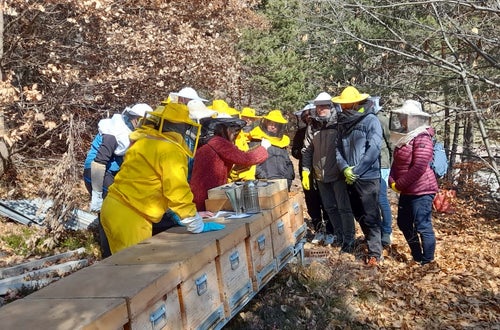 FC: corso apicoltori - lezione al gruppo di corsisti FC: corso apicoltori - lezione al gruppo di corsisti