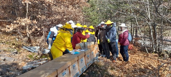 FC: corso apicoltori - lezione al gruppo di corsisti FC: corso apicoltori - lezione al gruppo di corsisti