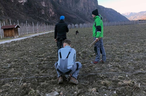 Impianto nuovo meleto, alunni classe III - misurazioni in campo Impianto nuovo meleto, alunni classe III - misurazioni in campo