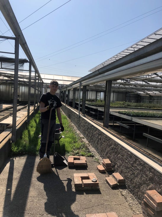 Stage 2022 - al lavoro in serra (Floricoltura Schullian) Stage 2022 - al lavoro in serra (Floricoltura Schullian)