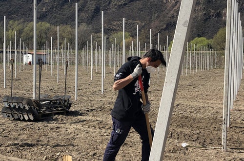 Stage 2021 - operazioni impianto per un nuovo meleto Stage 2021 - operazioni impianto per un nuovo meleto