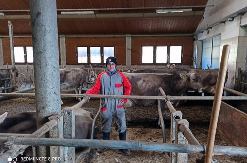 Stage 2021 - azienda zootecnica: cura del bestiame Stage 2021 - azienda zootecnica: cura del bestiame