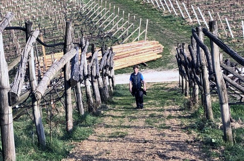 Stage locale: alunno in azienda vitivinicola Stage locale: alunno in azienda vitivinicola