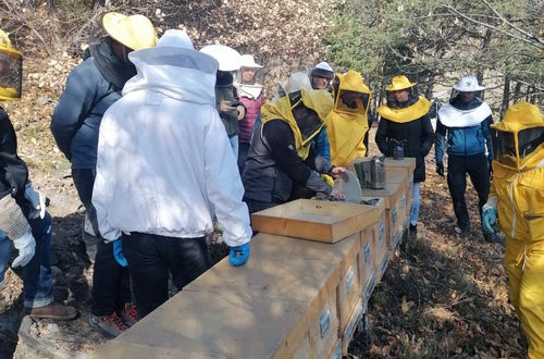 FC: corso apicoltori - lezione all'aperto con le arnie FC: corso apicoltori - lezione all'aperto con le arnie