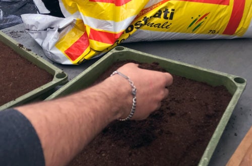 Classe I - attività in serra Laimburg, operazione di semina: alunno distribuisce le sementi a mano, sul letto di semina precedentemente preparato Classe I - attività in serra Laimburg, operazione di semina: alunno distribuisce le sementi a mano, sul letto di semina precedentemente preparato