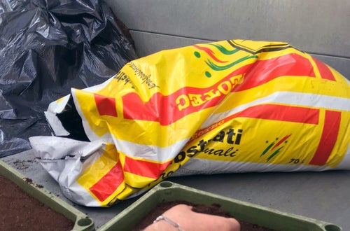Classe I - attività in serra Laimburg, operazione di semina: alunno distribuisce le sementi a mano, sul letto di semina precedentemente preparato Classe I - attività in serra Laimburg, operazione di semina: alunno distribuisce le sementi a mano, sul letto di semina precedentemente preparato
