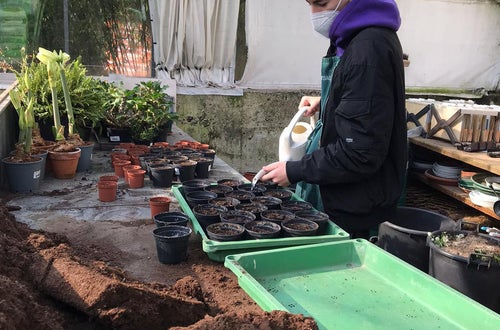 Stage 2021 - in serra cura delle piantine in vaso Stage 2021 - in serra cura delle piantine in vaso