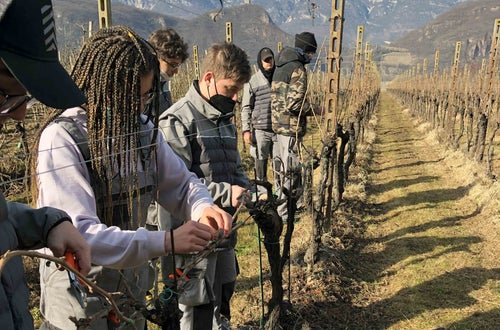 Legatura capo a frutto al filo, alunni classe I Legatura capo a frutto al filo, alunni classe I