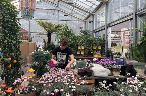 Stage locale: attività in giardineria Stage locale: attività in giardineria