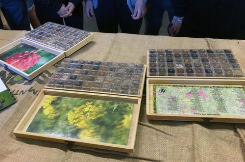 Alunni di III e IV in visita all'azienda Biasion: scatole di differenti sementi utilizzate in azienda Alunni di III e IV in visita all'azienda Biasion: scatole di differenti sementi utilizzate in azienda