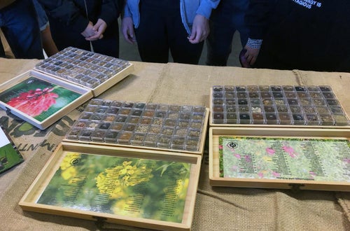 Alunni di III e IV in visita all'azienda Biasion: scatole di differenti sementi utilizzate in azienda Alunni di III e IV in visita all'azienda Biasion: scatole di differenti sementi utilizzate in azienda