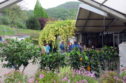 Corso erbe officinali e alimurgiche - gruppo di allievi in attesa della lezione all'ingresso della serra di Laimburg Corso erbe officinali e alimurgiche - gruppo di allievi in attesa della lezione all'ingresso della serra di Laimburg