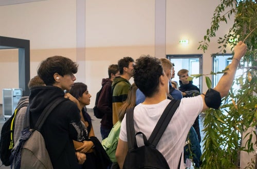 Flomart: un alunno del gruppo tocca le foglie di un arbusto in esposizione Flomart: un alunno del gruppo tocca le foglie di un arbusto in esposizione